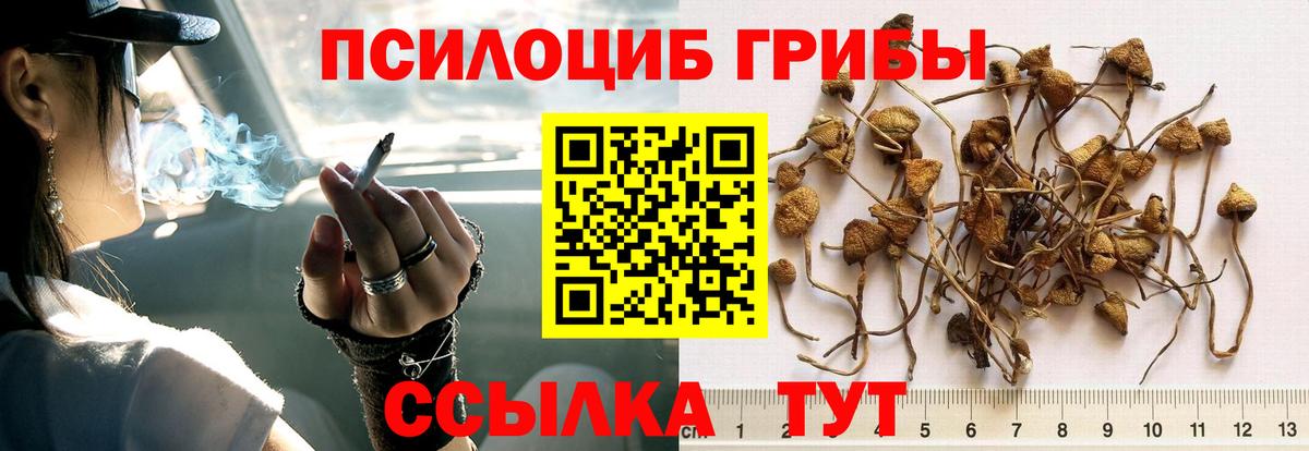 Псилоцибиновые грибы Magic Shrooms Златоуст